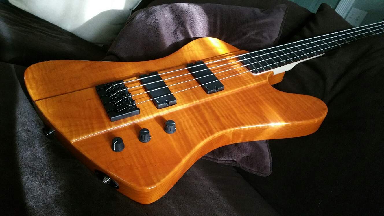 Fenderbird.jpg