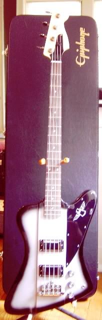 Fenderbird006.jpg