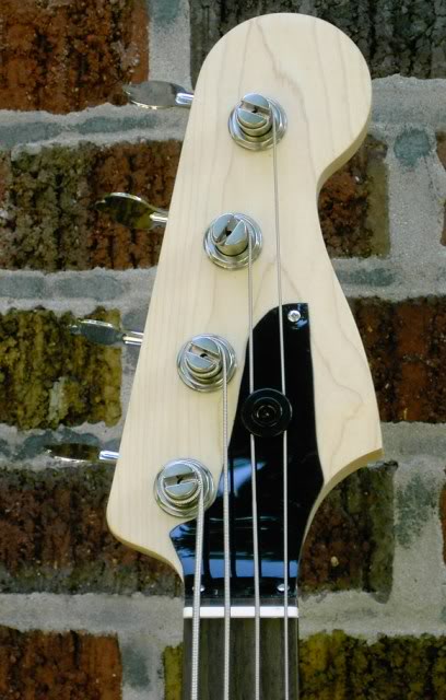 Fenderbird009.jpg