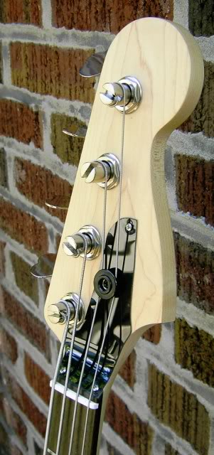 Fenderbird012.jpg