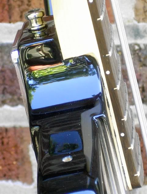 Fenderbird015.jpg