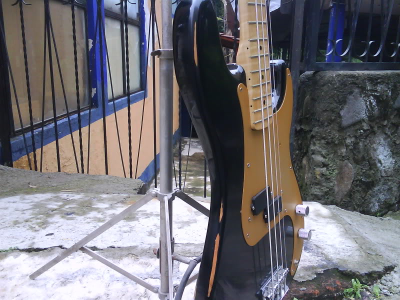 fenderdecanto.jpg