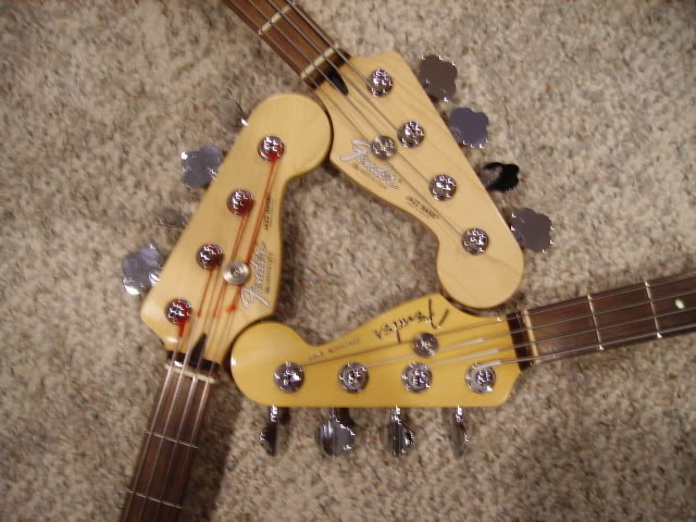 FenderHeads005.jpg
