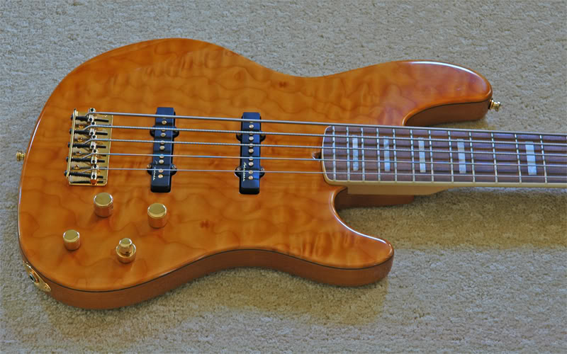 FenderJazzFMTBody01W.jpg