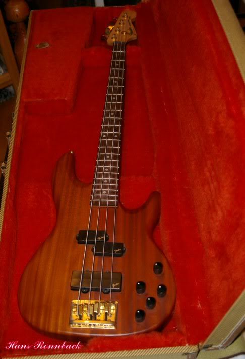 FenderP-basLyteDelux.jpg