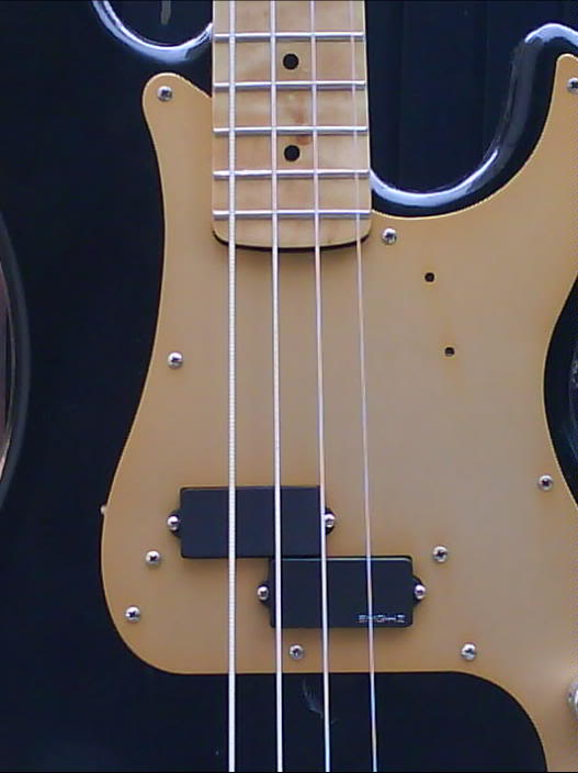 fenderportada.jpg