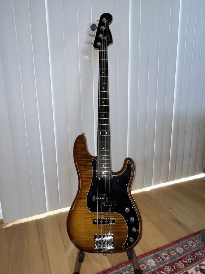 fenderPtiger.jpg