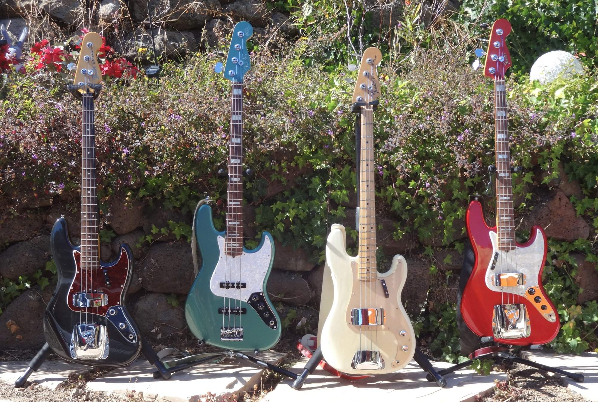 Fenders.jpg