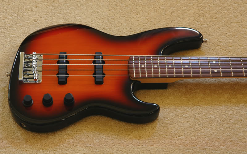 FenderStanBody01W.jpg