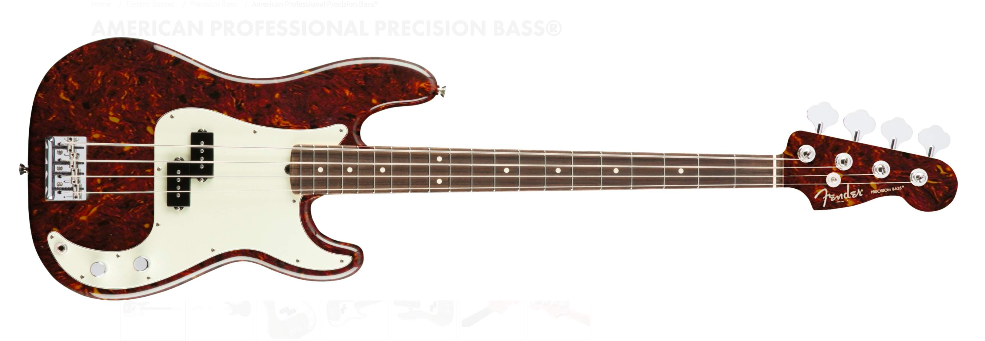 FenderTort2.jpg
