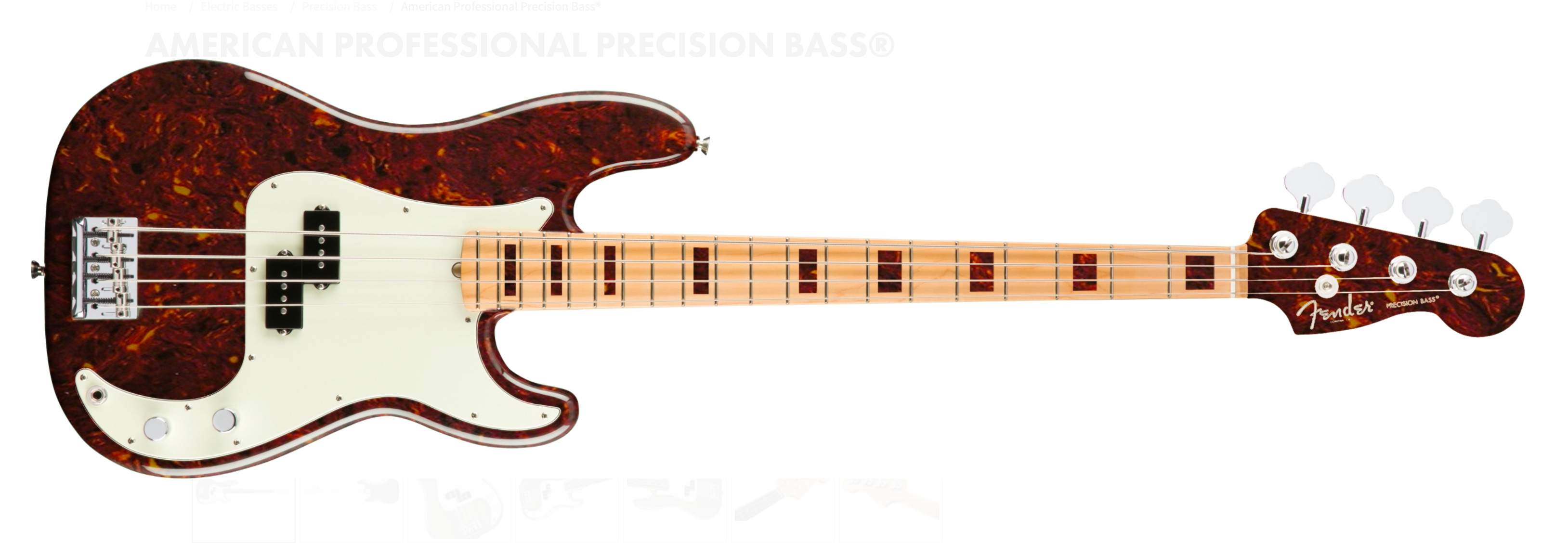 FenderTortPlus.jpg