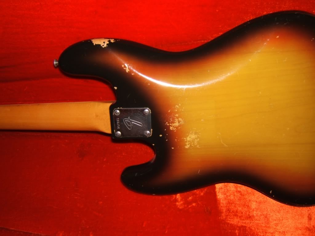 FenderWear-0.jpg