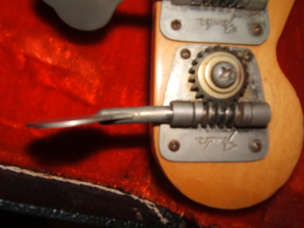 FenderWear-3.jpg