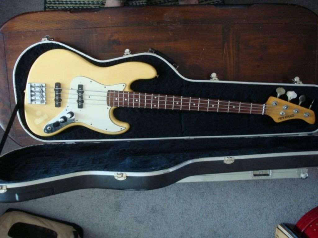 fernandes BASS 1.jpg