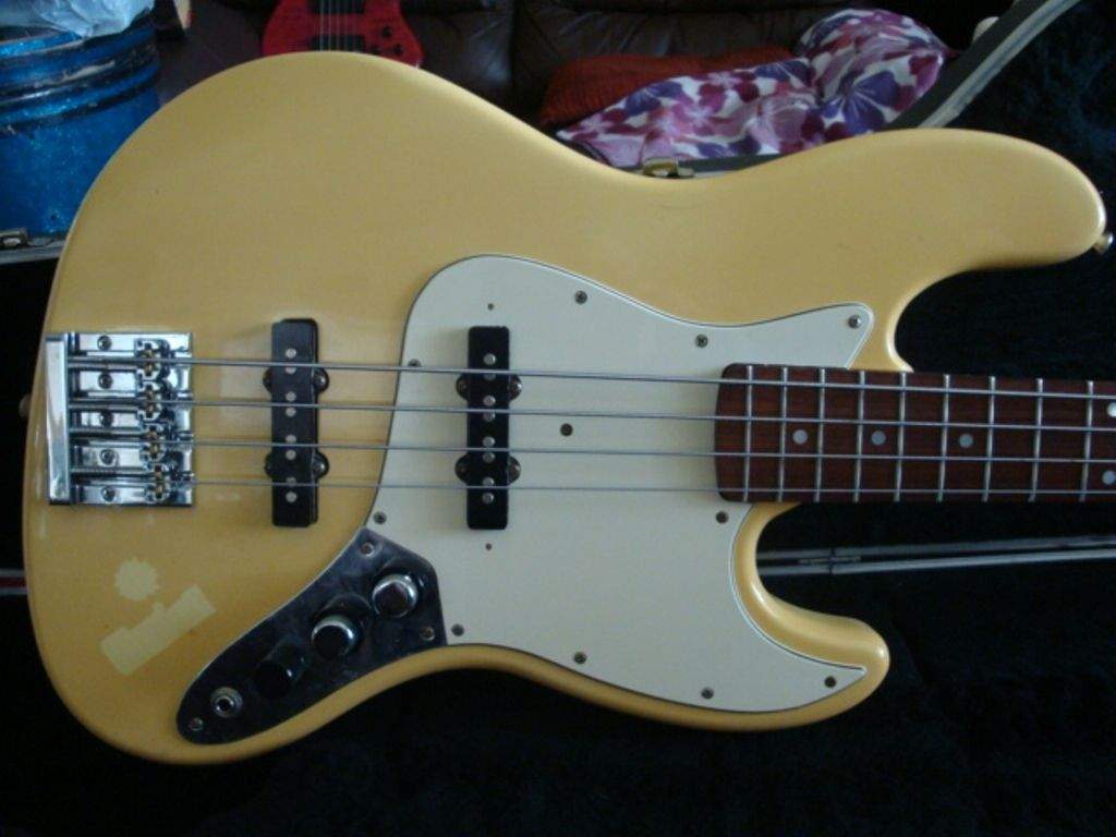 fernandes bass 3.jpg