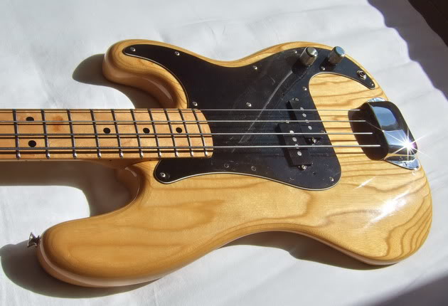 Fernandes029.jpg