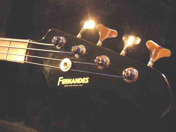 FernandesHeadstock.jpg