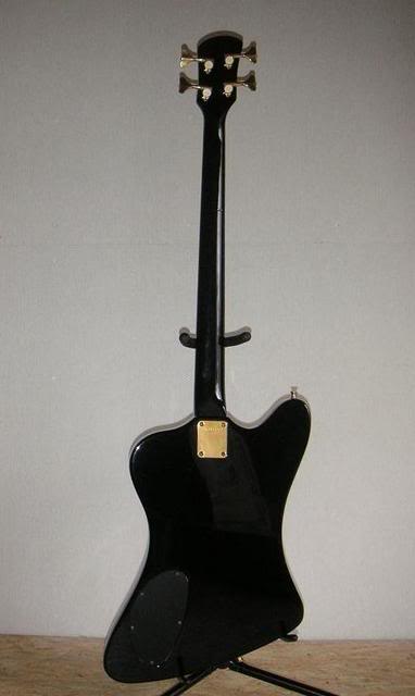 FernandesNS6.jpg