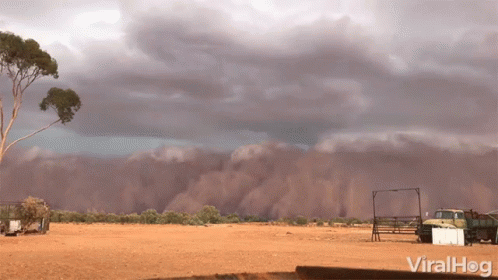 FF7F2062-E05D-461F-A175-D3D4337F2A25.gif