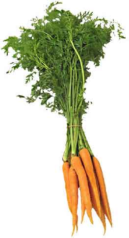 ff_carrot.jpg