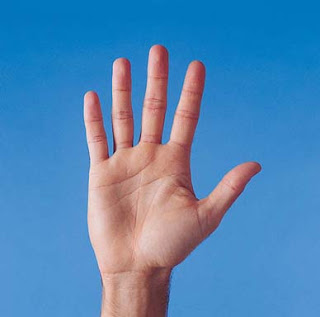 Fig6_palm_of_hand.jpg