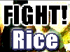 fightrice2.gif