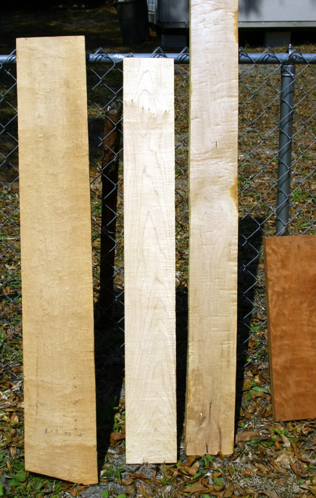 figuredMapleneckblanks.jpg