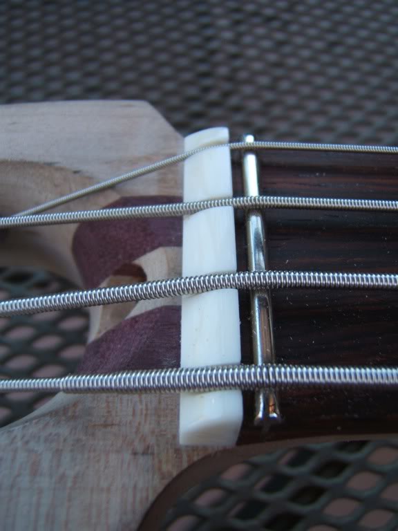 file-17.jpg