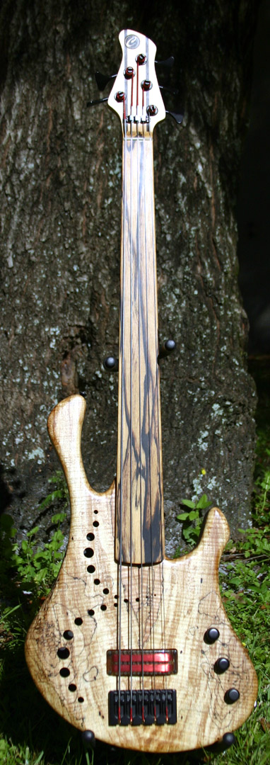 fin-169fullfront.jpg