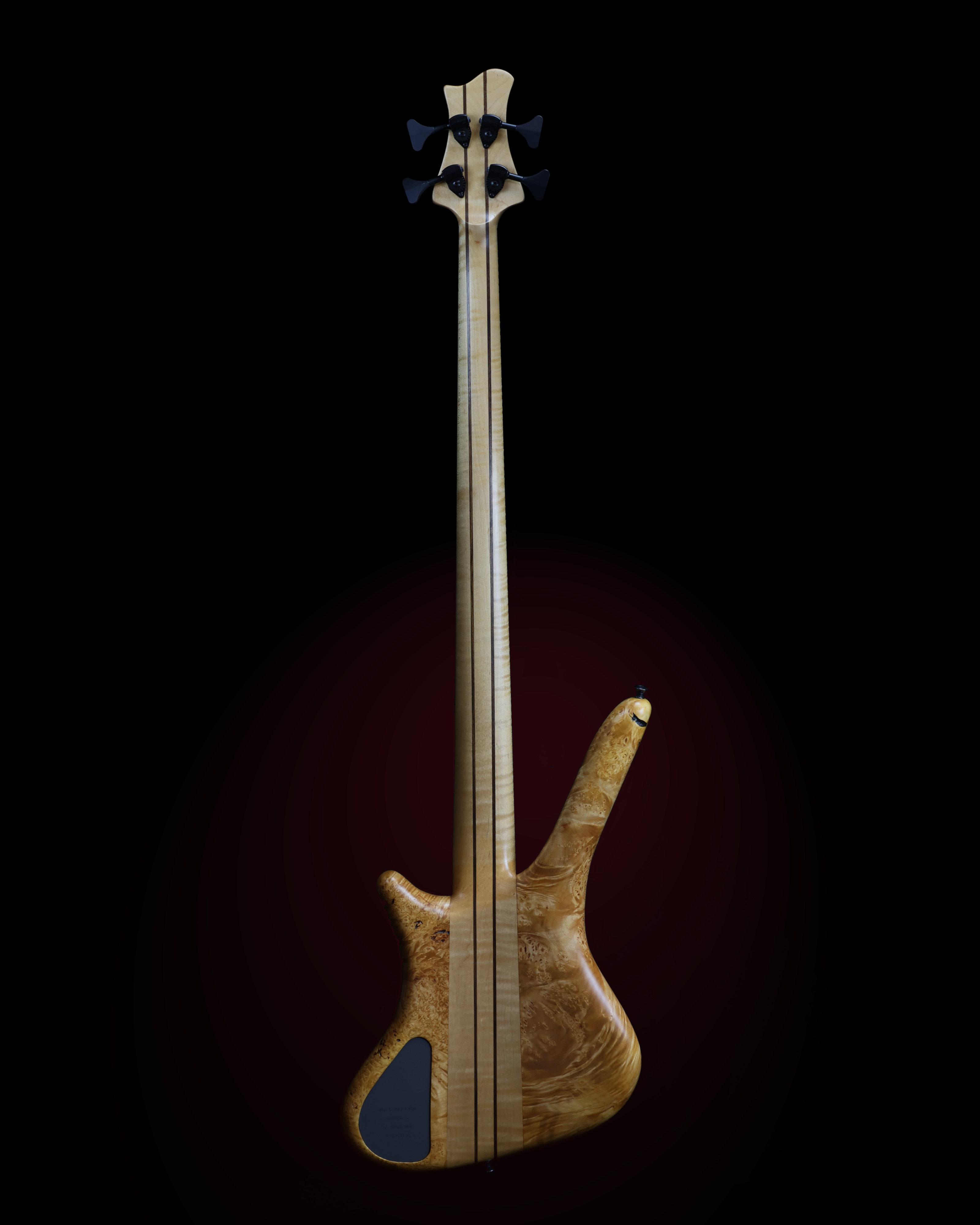 Final Back-001.jpg