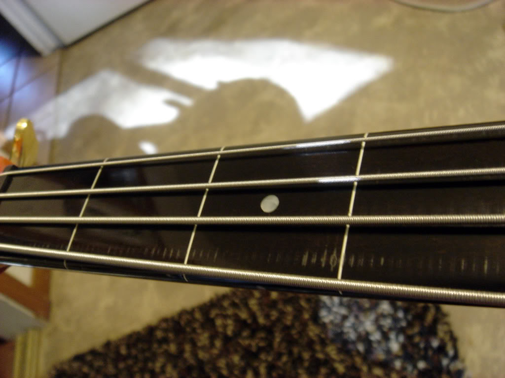 fingerboard.jpg