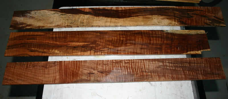 fingerboards.jpg