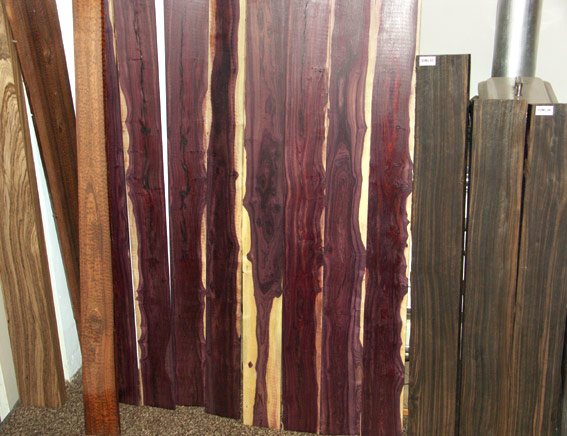 fingerboards.jpg