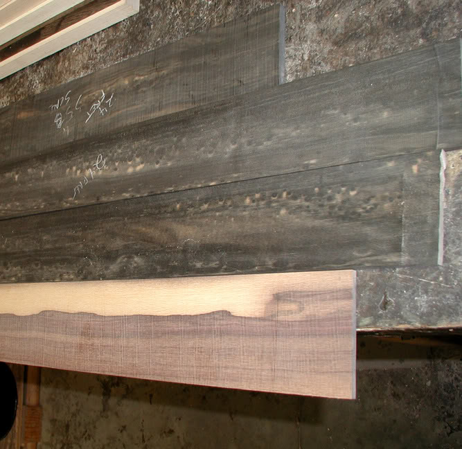 fingerboards1.jpg