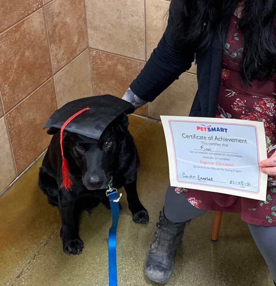 Finn certificate.jpg
