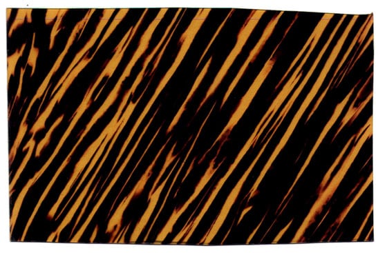 fire%20stripe.jpg
