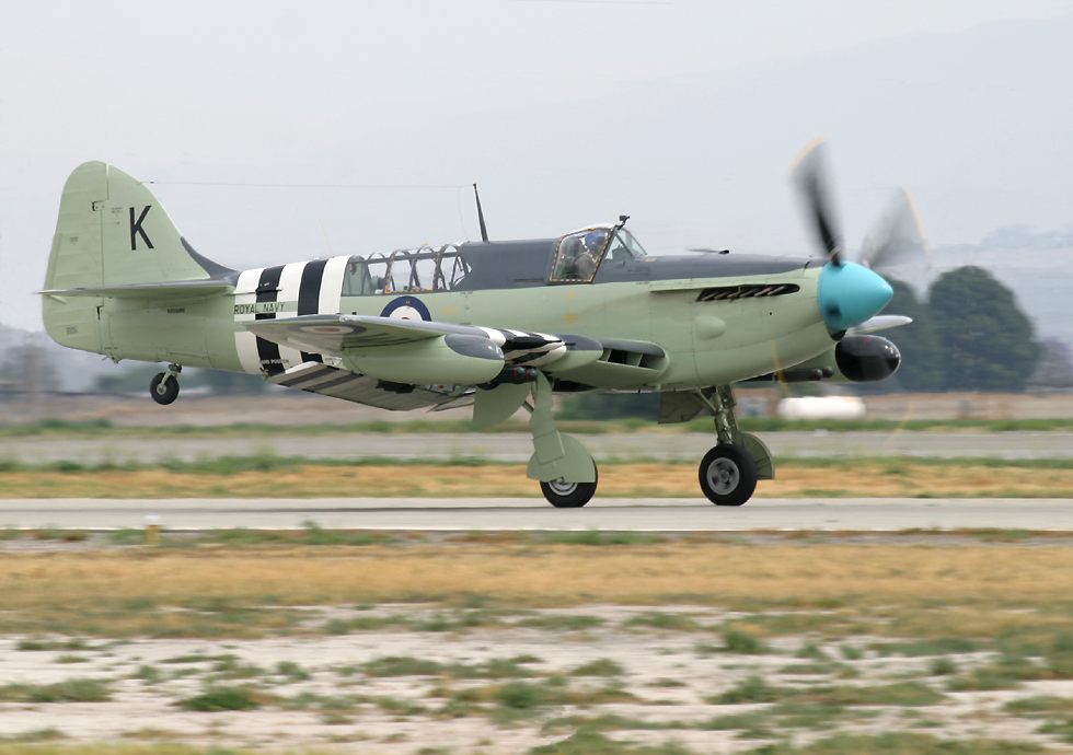 FireflyTakingOff.jpg