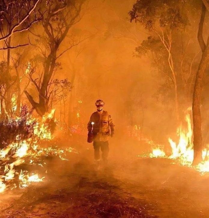 FIRES IN NSW 2.JPG