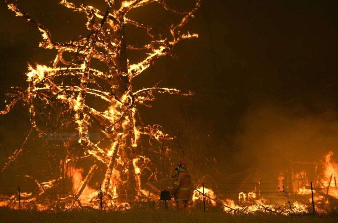 FIRES IN NSW.JPG