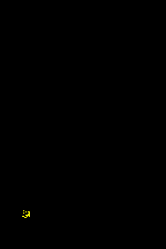 Fireworks01.gif