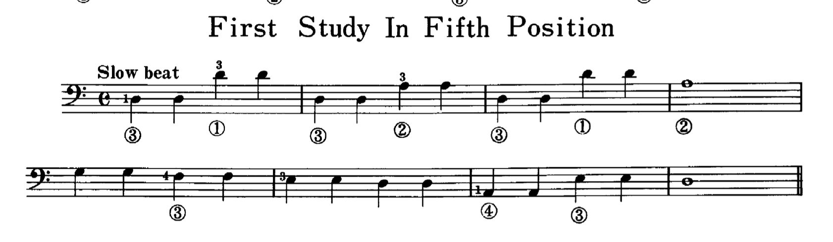 first-study.png