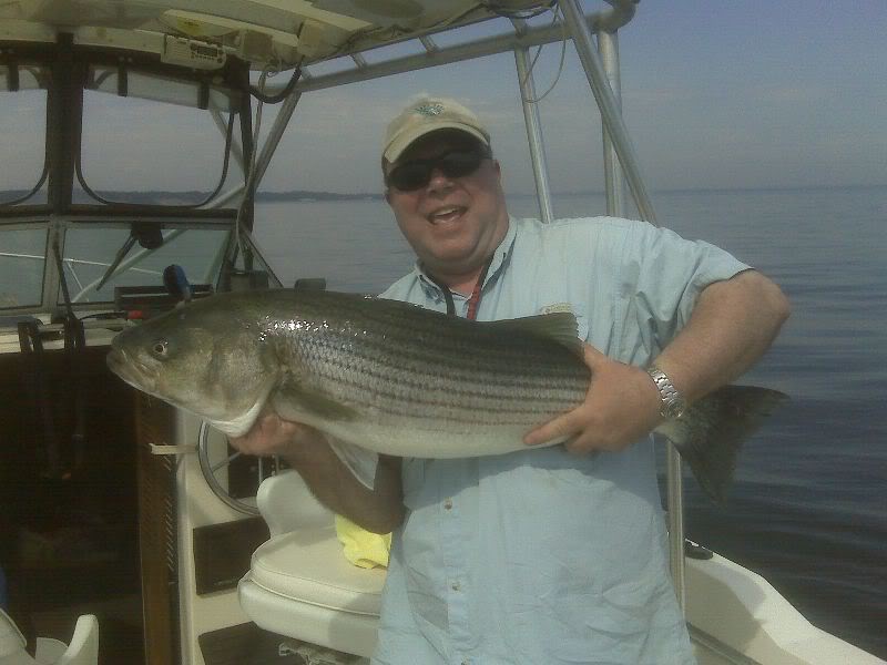 First2008Bass.jpg