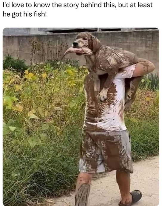 fish dog.jpg