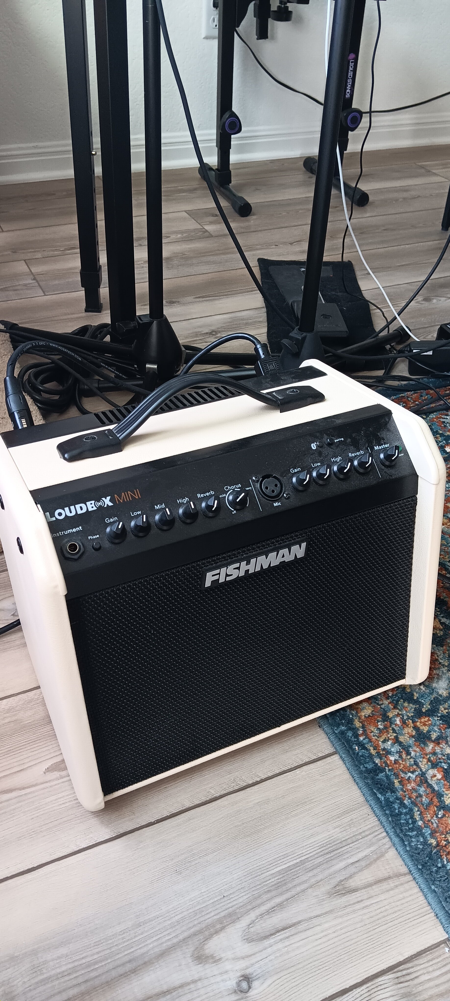 Fishman.jpg