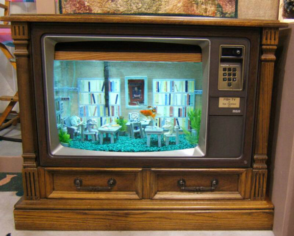 FishTV_aquarium.jpg