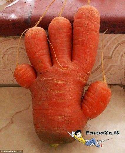 five-fingered-carrot.jpg