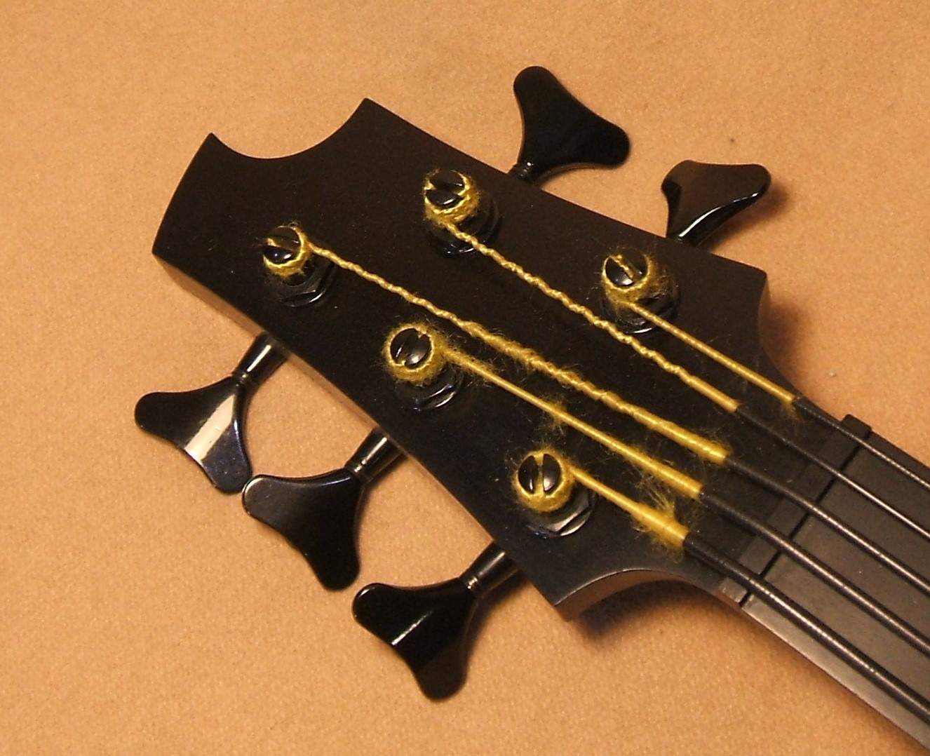 Five string ebony.JPG