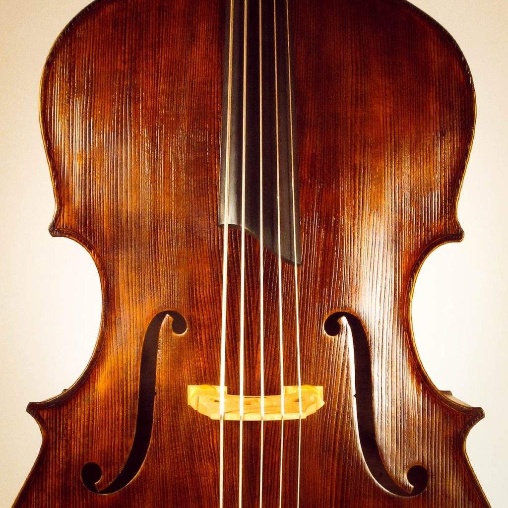 five_5_string_double_bass-5.jpg