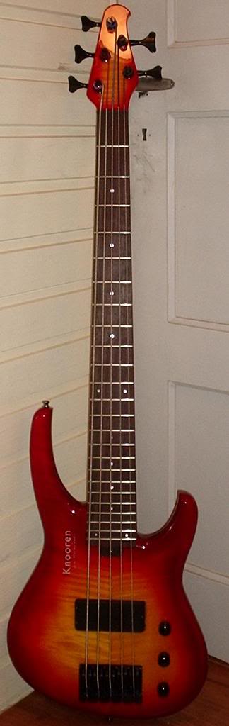 fivestring.jpg
