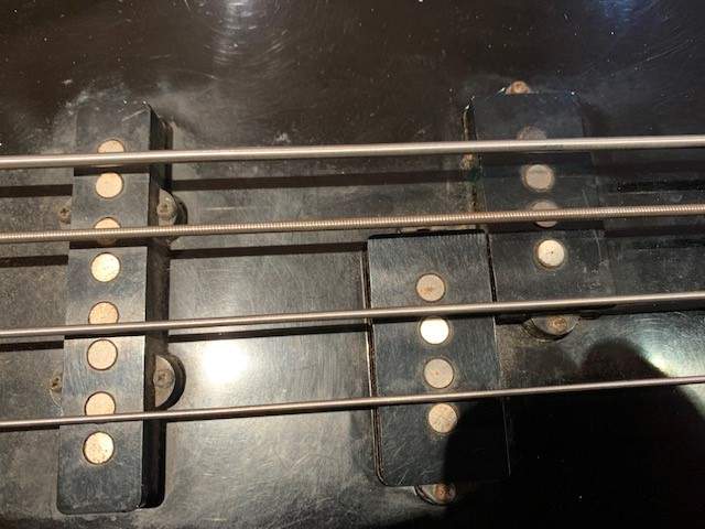 fjs8.jpg